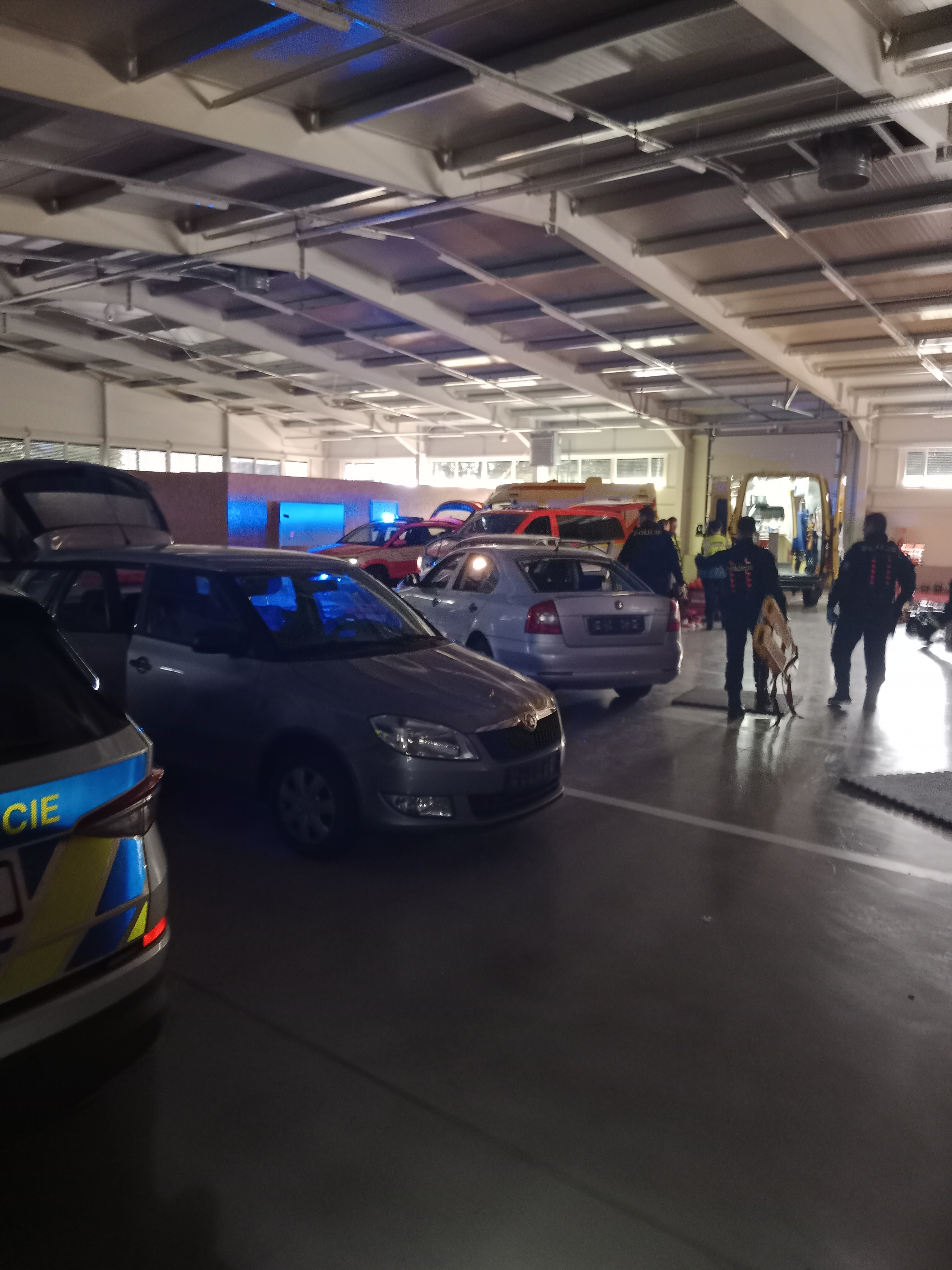 Cvičení START Brno